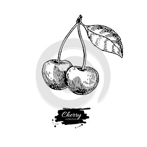 Cherry vector drawing. Isolated hand drawn two berries on white