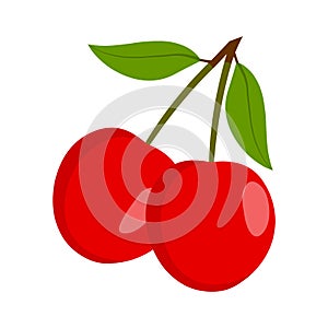 Cherry vector.Fresh cherry illustration