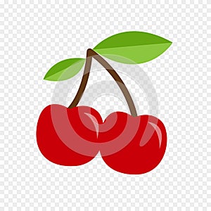 Cherry vector icon