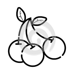 Cherry vector icon