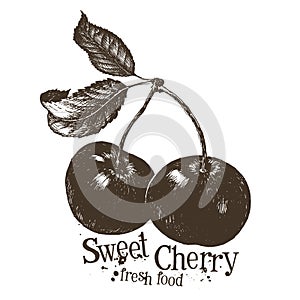 Cherry vector logo design template. fruit or fresh