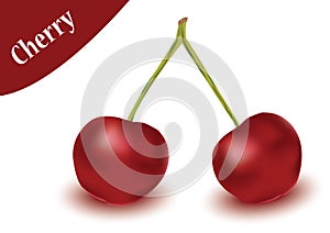 Cherry vector in white background, cherry vector