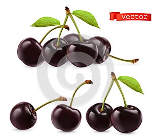 Cherry vectorized image. Fresh fruit. 3d realistic vector icon