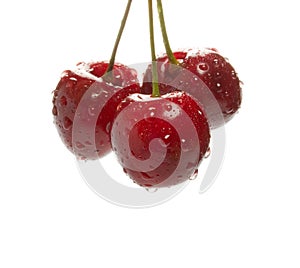 Cherry with water drops