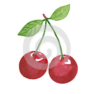 cherry watercolor drawing