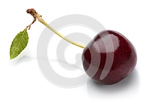 Cherry on white background