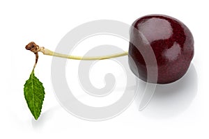 Cherry on white background