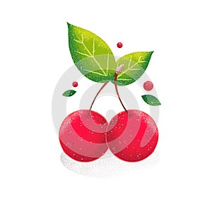 Cherry on white background. Vector card in grunge style. Noise texture shadow.