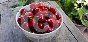 Cherry in white bowl