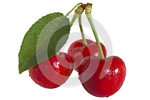 Cherrys and leaf