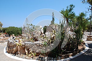 Chersonissos, Cyprus, Greece - 31.07.2013: Garden of green prickly cacti growing under the scorching sun and a deep sky