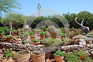 Chersonissos, Cyprus, Greece - 31.07.2013: Garden of plants and flowers growing in clay pots