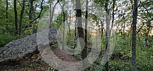 Chert rock outcropping atop blue mound state park wisconsin with the setting sun through the forest photo