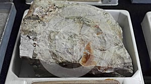 Chert sedimentary rocks photo