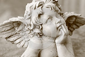 Cherub