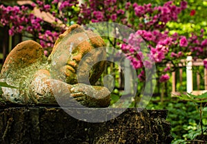 A cherub ornament rests peacefully among garden flowers