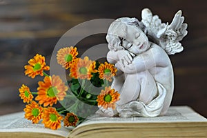 Cherub sleeping on open book