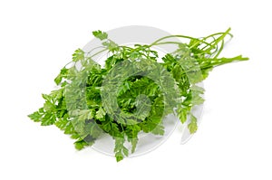 Chervil