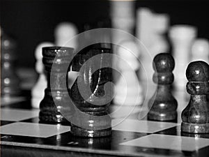 Ches black and white photography