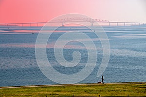 Chesapeake Bay Bridge and Runner