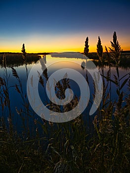 Chesapeake Bay Estuary at Sunrise