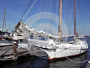 Chesapeake Bay Skipjack img