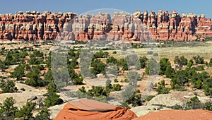 Chesler Park in Canyonlands Needles District