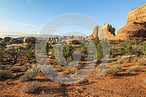 Chesler Park trail in needles district after sunrise, Canyonlands