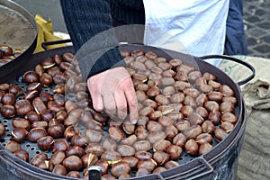 Chesnuts