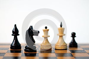 Chess. Black knight on chess board.