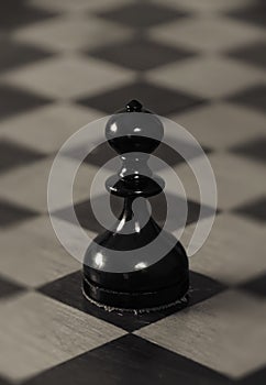 Chess black and white figures