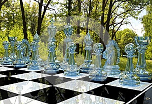 Chess board game in forest garden