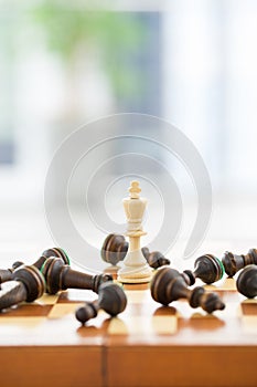 Chess business concept, leader & success