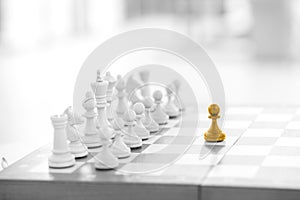 Chess business concept, leader & success