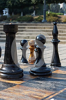 Chess competition in the open air, with great chess in human growth