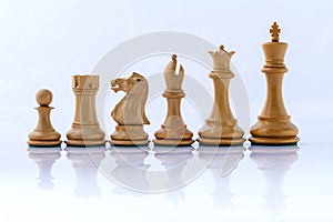 Chess concept save the king.