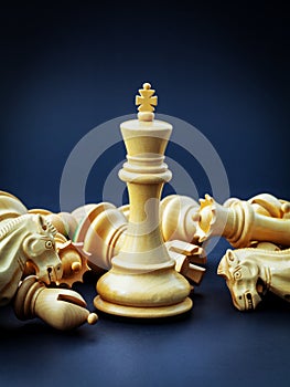 Chess concept save the king .