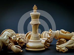 Chess concept save the king .