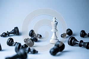 Chess figure, business concept strategy, leadership, team and success