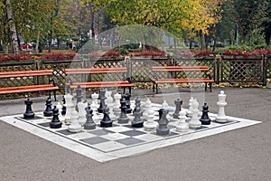 Chess figures in park autumn