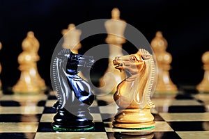 Chess Game Black and White Knights Face to Face