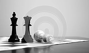 Chess Game Ending photo