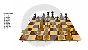 Chess game: The Evans Gambit