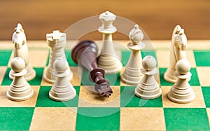 Chess game pieces on the green board