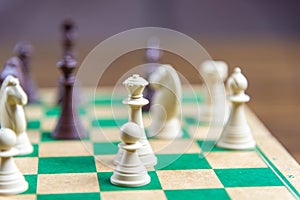 Chess game pieces on the green board