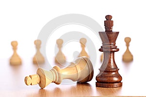 Chess king is checkmated