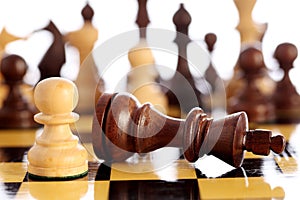 Chess king is checkmated