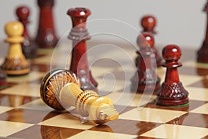 Chess king surrender photo