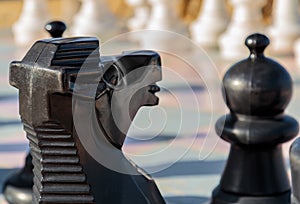 Chess Knight Business