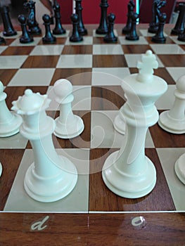 Chess Match profesional photo
